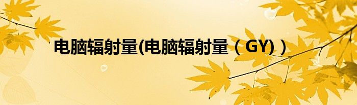 电脑辐射量(电脑辐射量【GY)】
