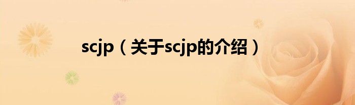 scjp【关于scjp的介绍】