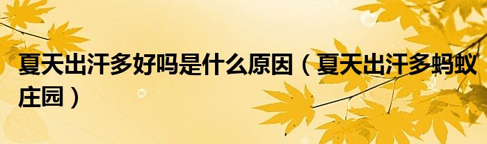 夏天出汗多好吗是什么原因【夏天出汗多蚂蚁庄园】