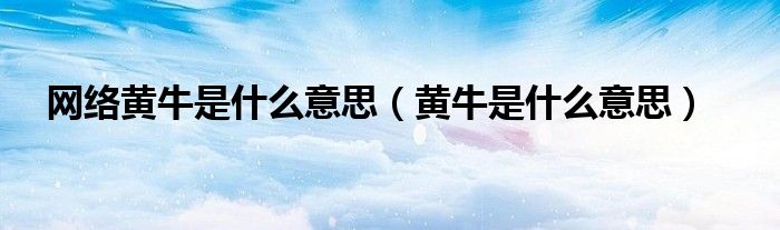 网络黄牛是什么意思【黄牛是什么意思】