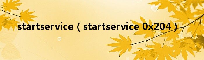 startservice【startservice 0x204】