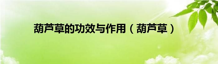 葫芦草的功效与作用【葫芦草】