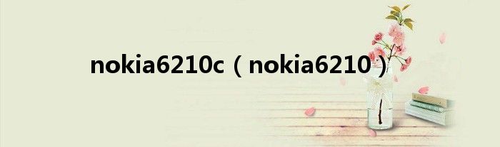 nokia6210c【nokia6210】