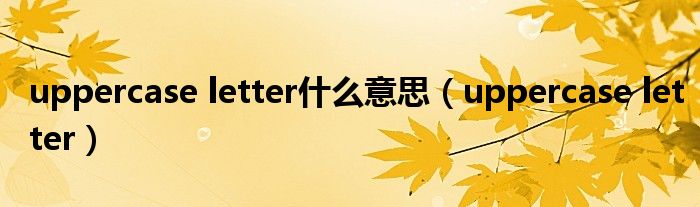 uppercase letter什么意思【uppercase letter】