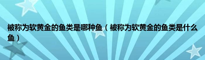 被称为软黄金的鱼类是哪种鱼【被称为软黄金的鱼类是什么鱼】