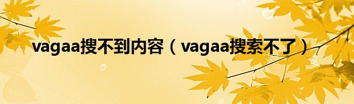 vagaa搜不到内容【vagaa搜索不了】