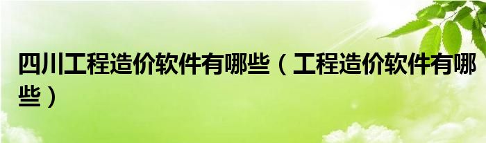 四川工程造价软件有哪些【工程造价软件有哪些】