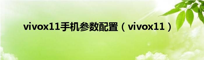 vivox11手机参数配置【vivox11】