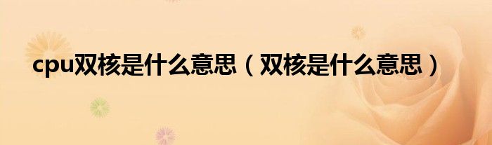 cpu双核是什么意思【双核是什么意思】
