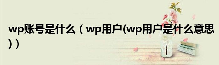 wp账号是什么【wp用户(wp用户是什么意思)】