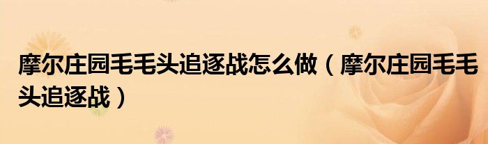 摩尔庄园毛毛头追逐战怎么做【摩尔庄园毛毛头追逐战】