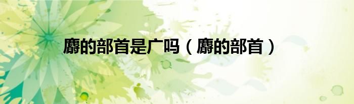 麝的部首是广吗【麝的部首】