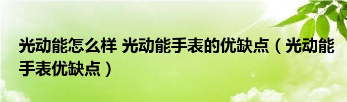 光动能怎么样 光动能手表的优缺点【光动能手表优缺点】