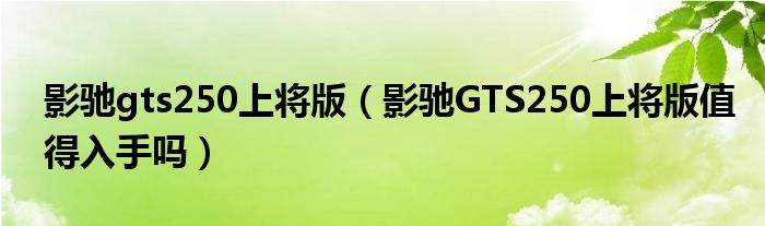 影驰gts250上将版【影驰GTS250上将版值得入手吗】