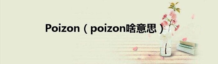 Poizon【poizon啥意思】