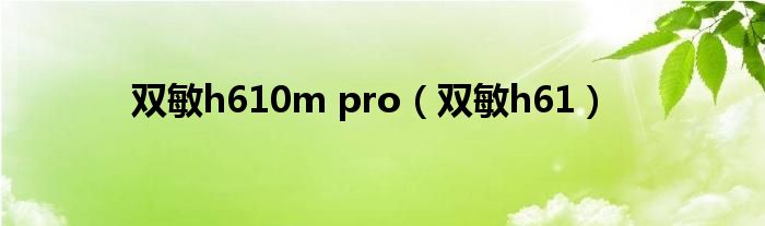 双敏h610m pro【双敏h61】