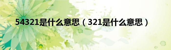 54321是什么意思【321是什么意思】