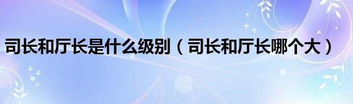 司长和厅长是什么级别【司长和厅长哪个大】