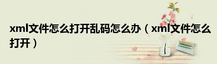 xml文件怎么打开乱码怎么办【xml文件怎么打开】