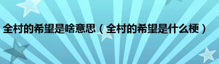 全村的希望是啥意思【全村的希望是什么梗】