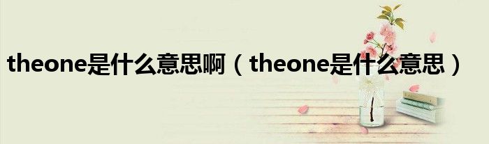 theone是什么意思啊【theone是什么意思】