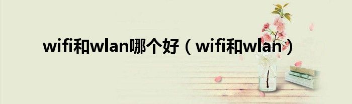 wifi和wlan哪个好【wifi和wlan】