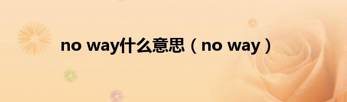 no way什么意思【no way】