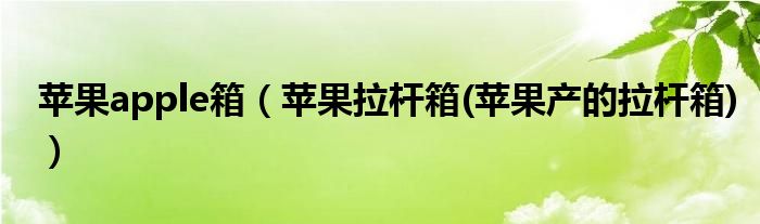 苹果apple箱【苹果拉杆箱(苹果产的拉杆箱)】