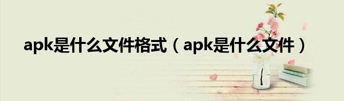 apk是什么文件格式【apk是什么文件】