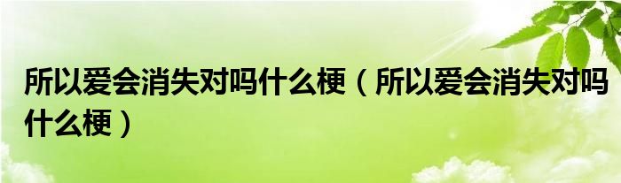 所以爱会消失对吗什么梗【所以爱会消失对吗什么梗】