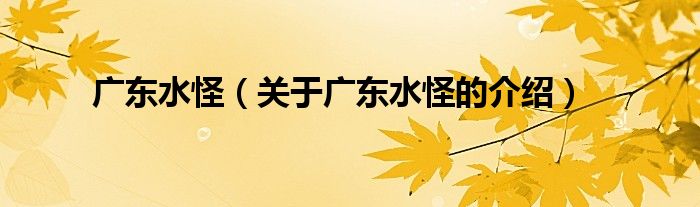 广东水怪【关于广东水怪的介绍】
