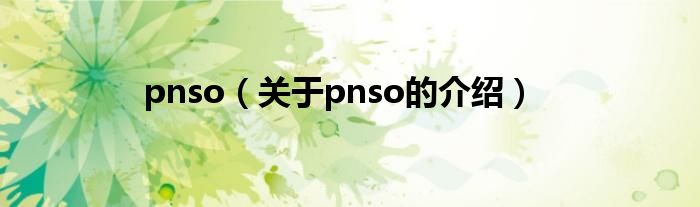 pnso【关于pnso的介绍】