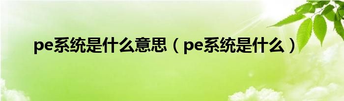 pe系统是什么意思【pe系统是什么】