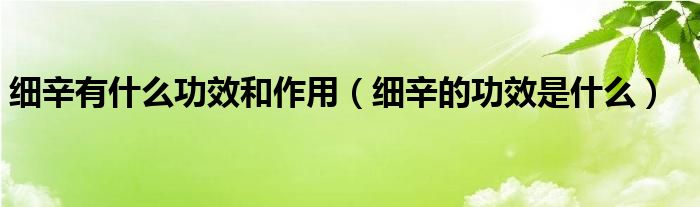 细辛有什么功效和作用【细辛的功效是什么】