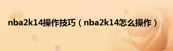 nba2k14操作技巧【nba2k14怎么操作】