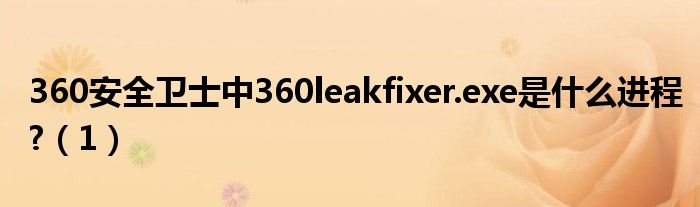 360安全卫士中360leakfixer.exe是什么进程?【1】