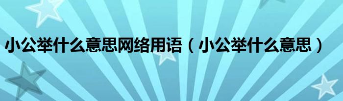 小公举什么意思网络用语【小公举什么意思】