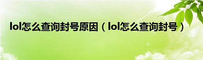 lol怎么查询封号原因【lol怎么查询封号】