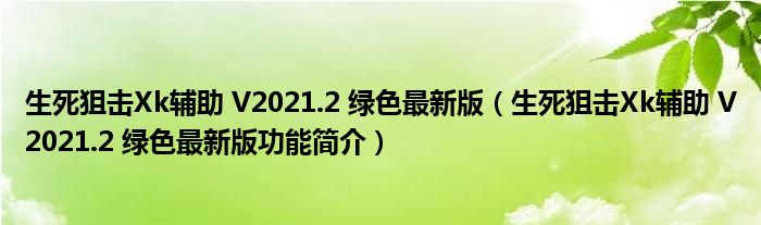 生死狙击Xk辅助 V2021.2 绿色最新版【生死狙击Xk辅助 V2021.2 绿色最新版功能简介】