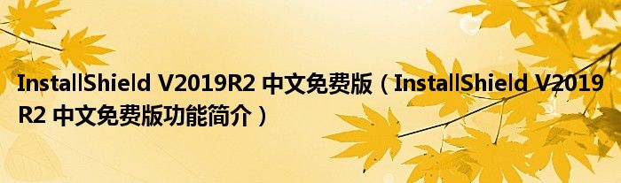 InstallShield V2019R2 中文免费版【InstallShield V2019R2 中文免费版功能简介】