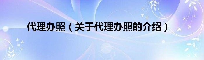 代理办照【关于代理办照的介绍】
