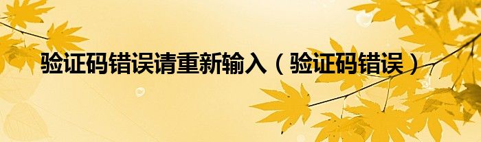 验证码错误请重新输入【验证码错误】