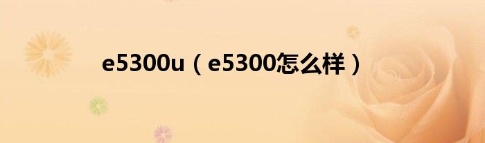 e5300u【e5300怎么样】