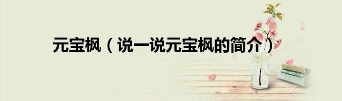 元宝枫【说一说元宝枫的简介】