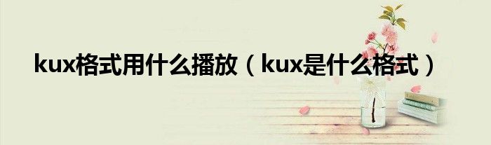 kux格式用什么播放【kux是什么格式】