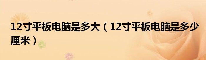 12寸平板电脑是多大【12寸平板电脑是多少厘米】