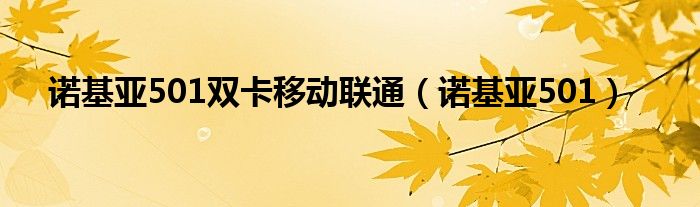 诺基亚501双卡移动联通【诺基亚501】