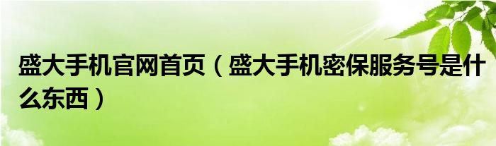 盛大手机官网首页【盛大手机密保服务号是什么东西】