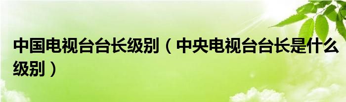 中国电视台台长级别【中央电视台台长是什么级别】