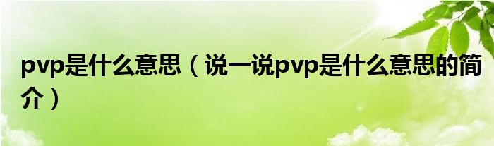 pvp是什么意思【说一说pvp是什么意思的简介】